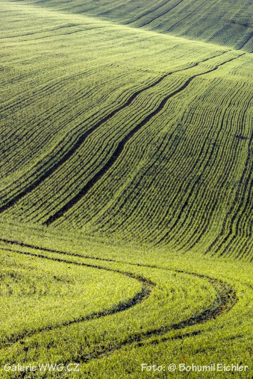 Foto: © Bohumil Eichler Foto: © Bohumil Eichler